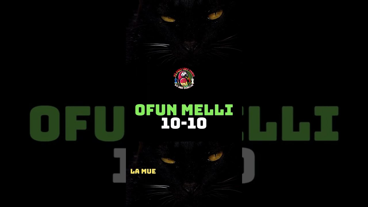 OFUN MELLI - ORAGUN 10-10