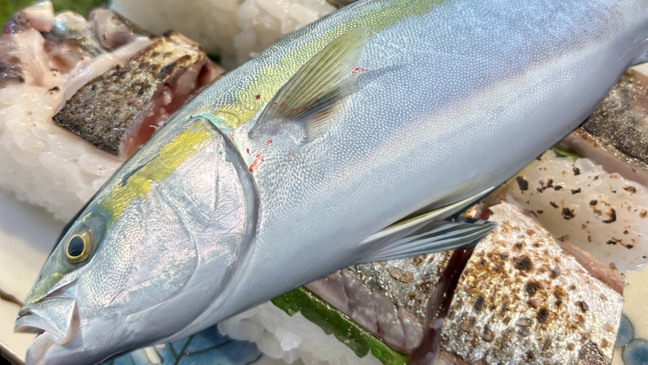Kayak to Kitchen: FRESH Saba Sushi & Poke Don! (Catch & Cook)