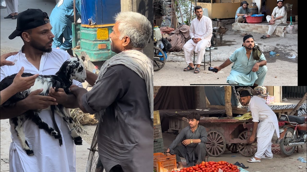 Buying goat in market prank | taking picture of stranger secretly prank and more | joker pranks