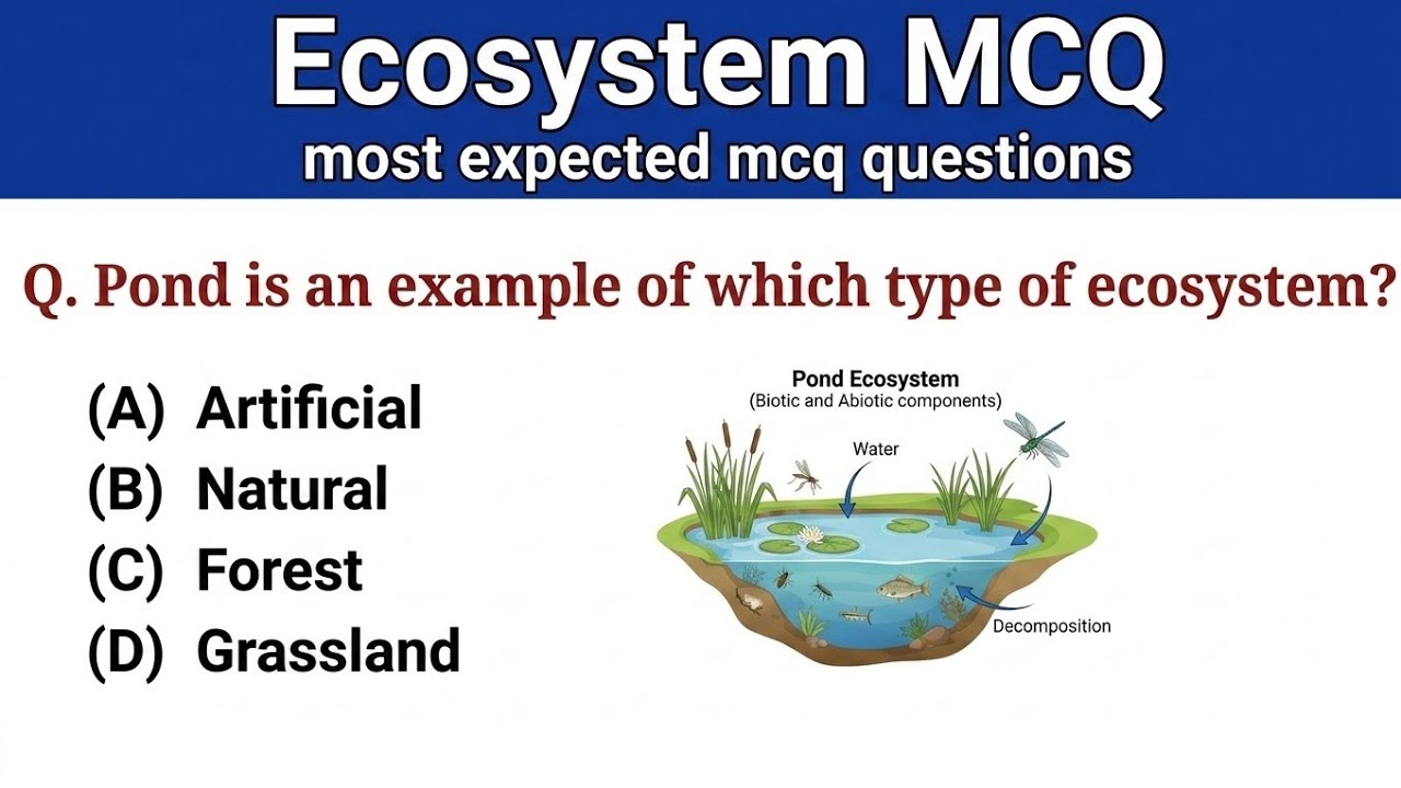 ecosystem mcq - ecology mcq - ecosystem mcq for neet - part (1)