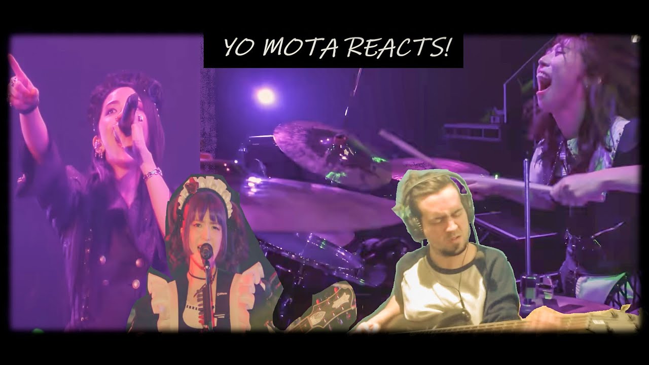 Seriously, they are THIS good? (BAND-MAID: from now on/Unleash!!!!! REACTION/mini bass cover)