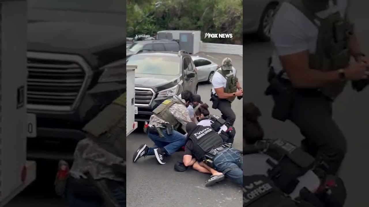 Illegal migrant resists arrest during dramatic takedown #shorts #foxnews #news #usa #immigration