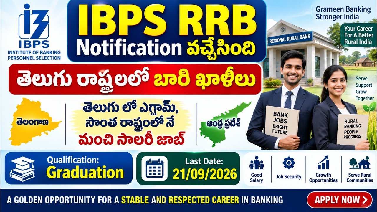 IBPS RRB Notification