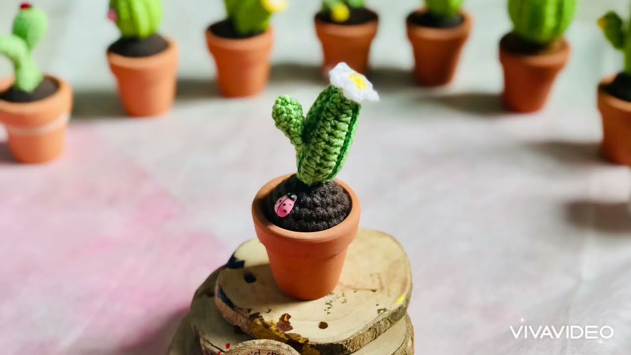 Hướng dẫn móc xương rồng mẫu NT01/ Mini cactus (Part 2 - Finish)