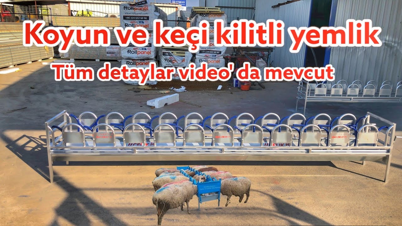 Koyun Keçi kilitli yemlik , akıllı yemlik, otomatik yemlik yapımı ve yemlik imalatı 