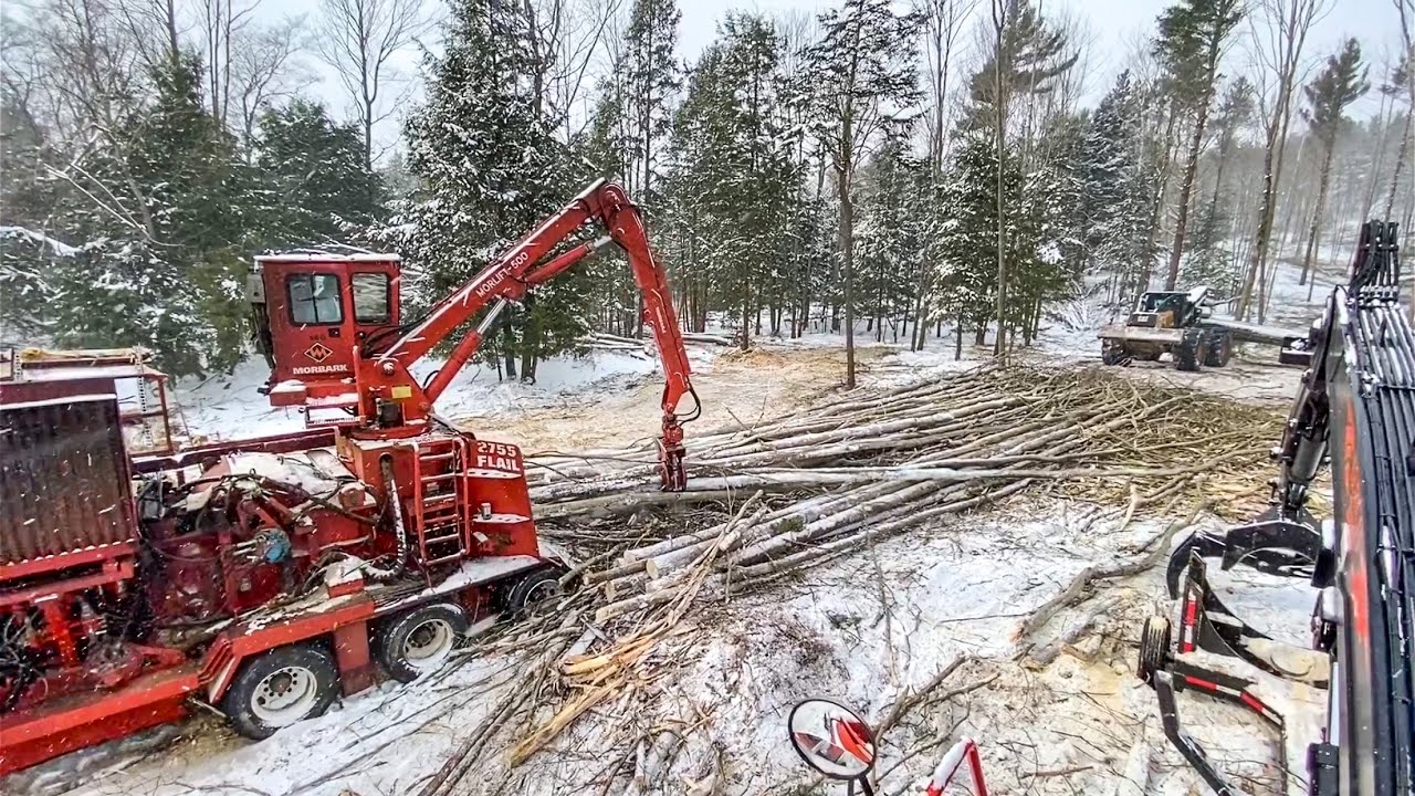 Chipping Wood and Internal Problems