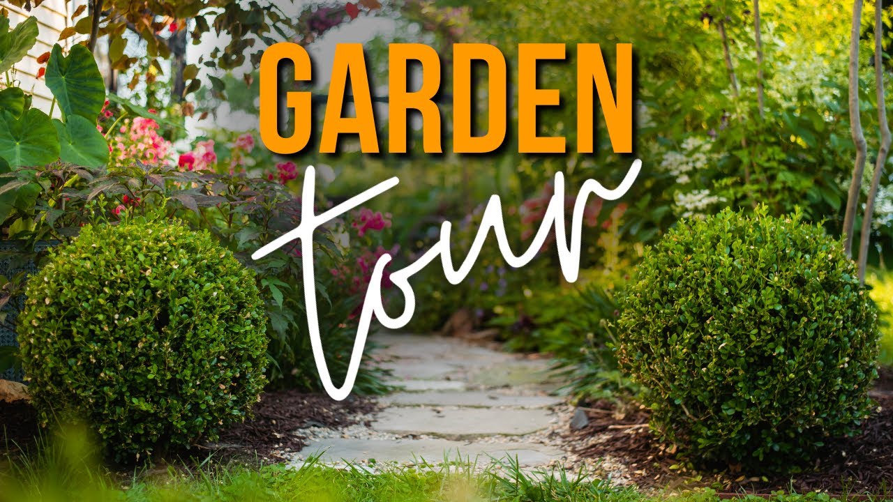 My garden path is thriving! Garden Tour