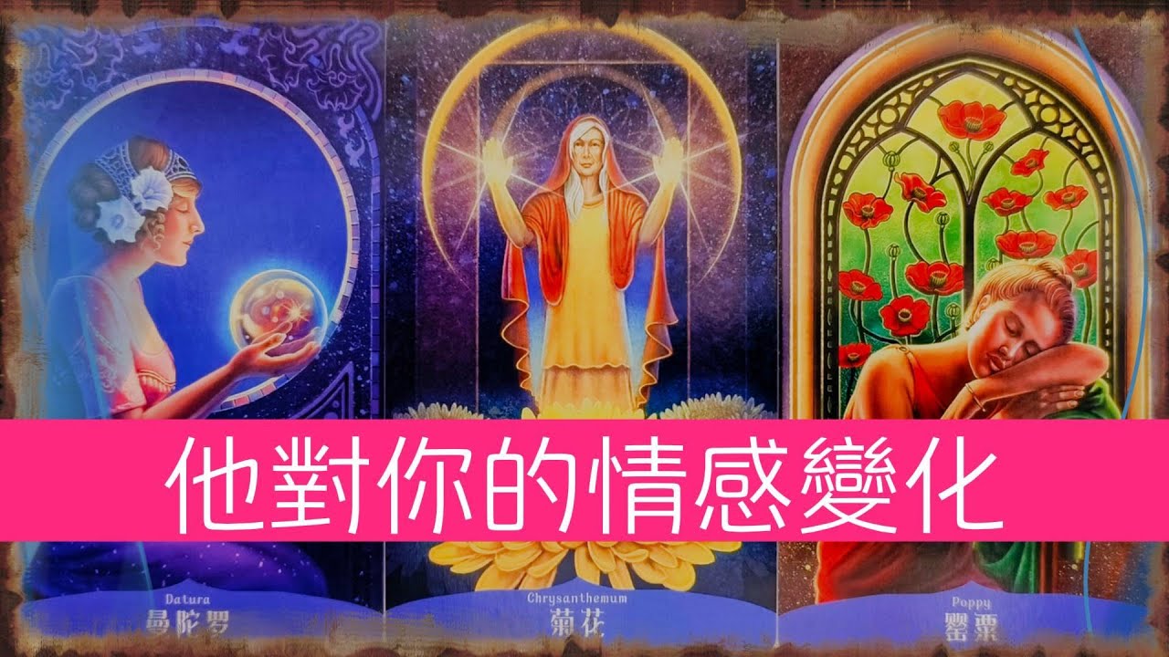 他對你的情感變化-之前vs現在vs未來  |曖昧|愛情|戀愛|桃花|塔羅占卜|