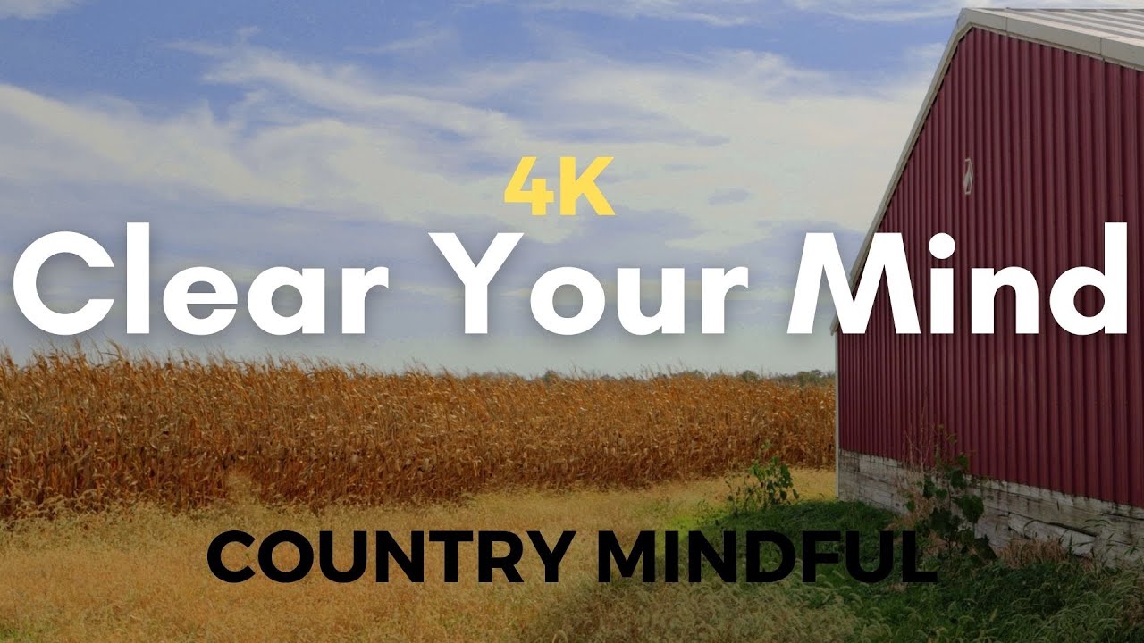Corn Field Wind Ambience for Sound Background