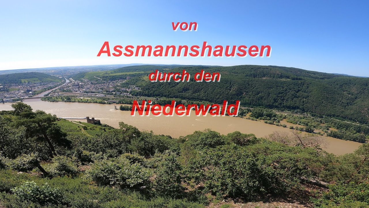 von Assmannshausen durch den Niederwald