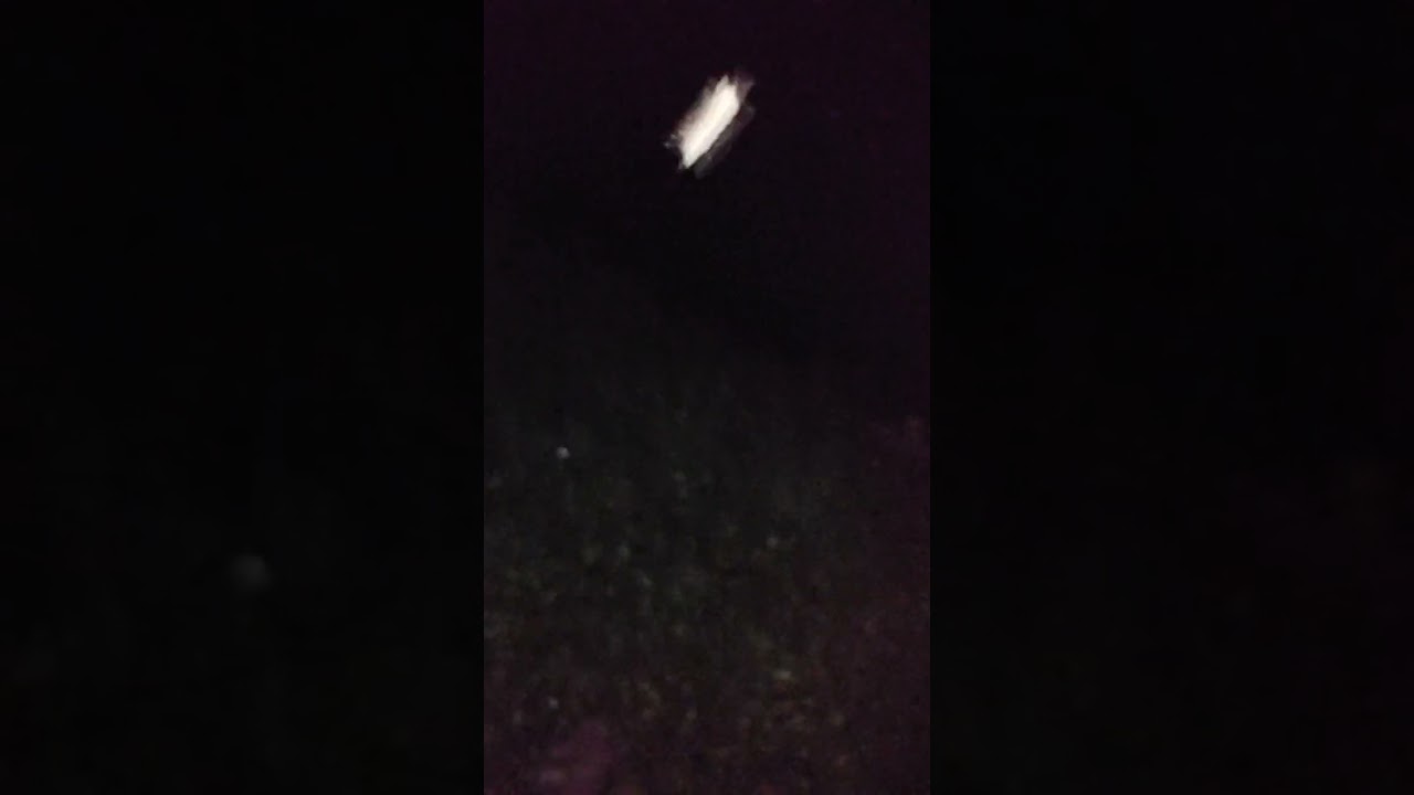 Edisi malam Senin, ngancani ponakan mancing di kali