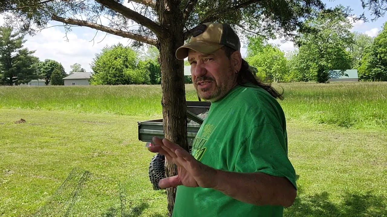 Compost pile