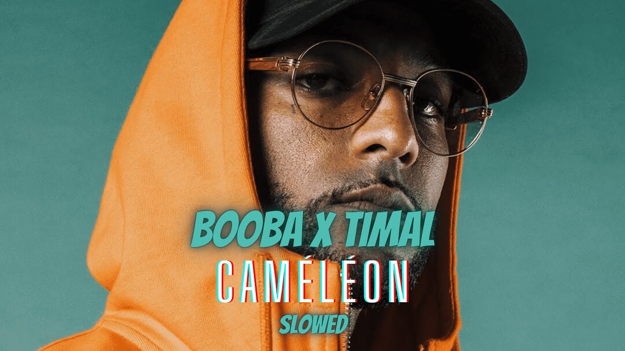 Booba x Timal - Caméléon (Slowed)