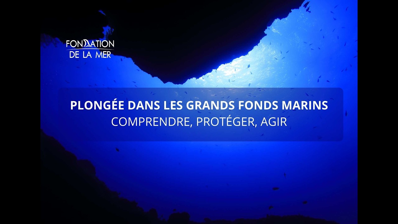 Plongée dans les grands fonds marins : comprendre, protéger, agir