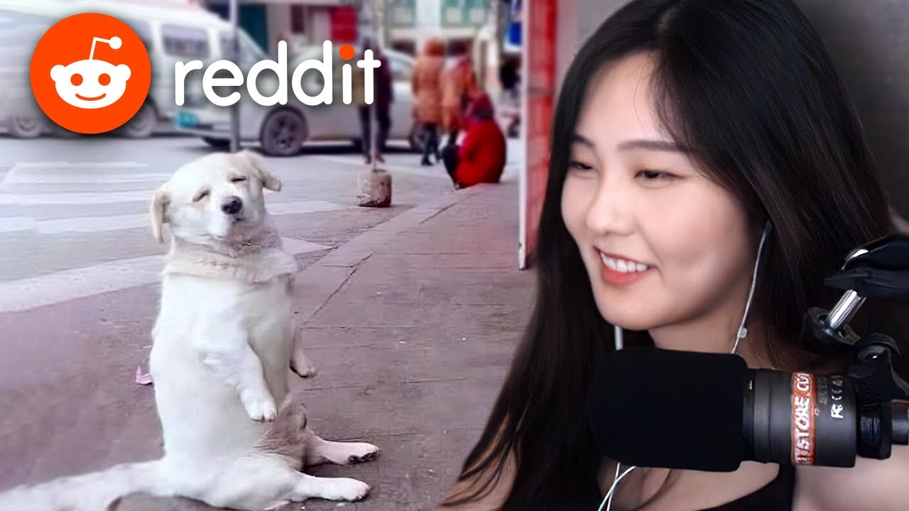 39daph Reacts to Reddit #8