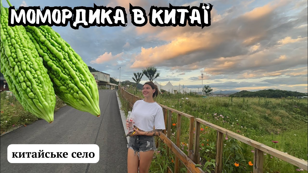 СЕЛО, КЕМПІНГ, ГОРОД І ЛОТОСИ 🌸 | Китайський влог