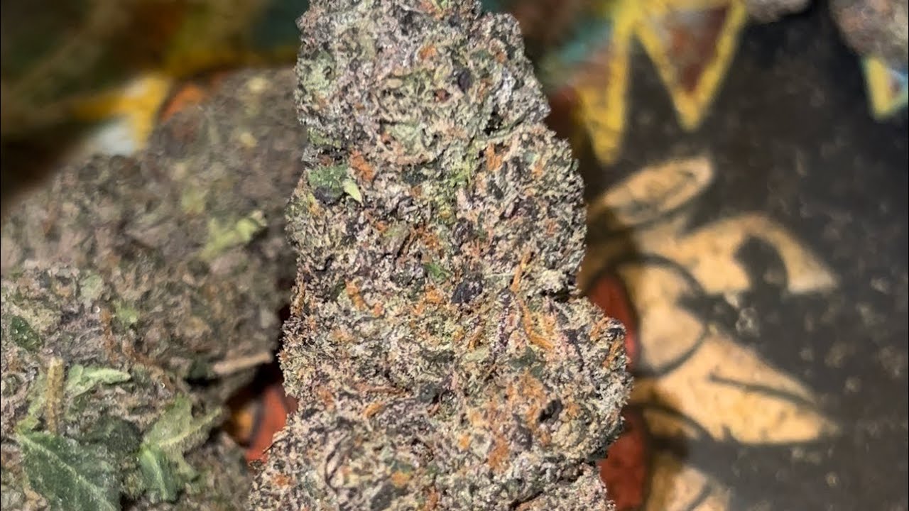 Runtz weed strain - The only medication I use during weight lifting