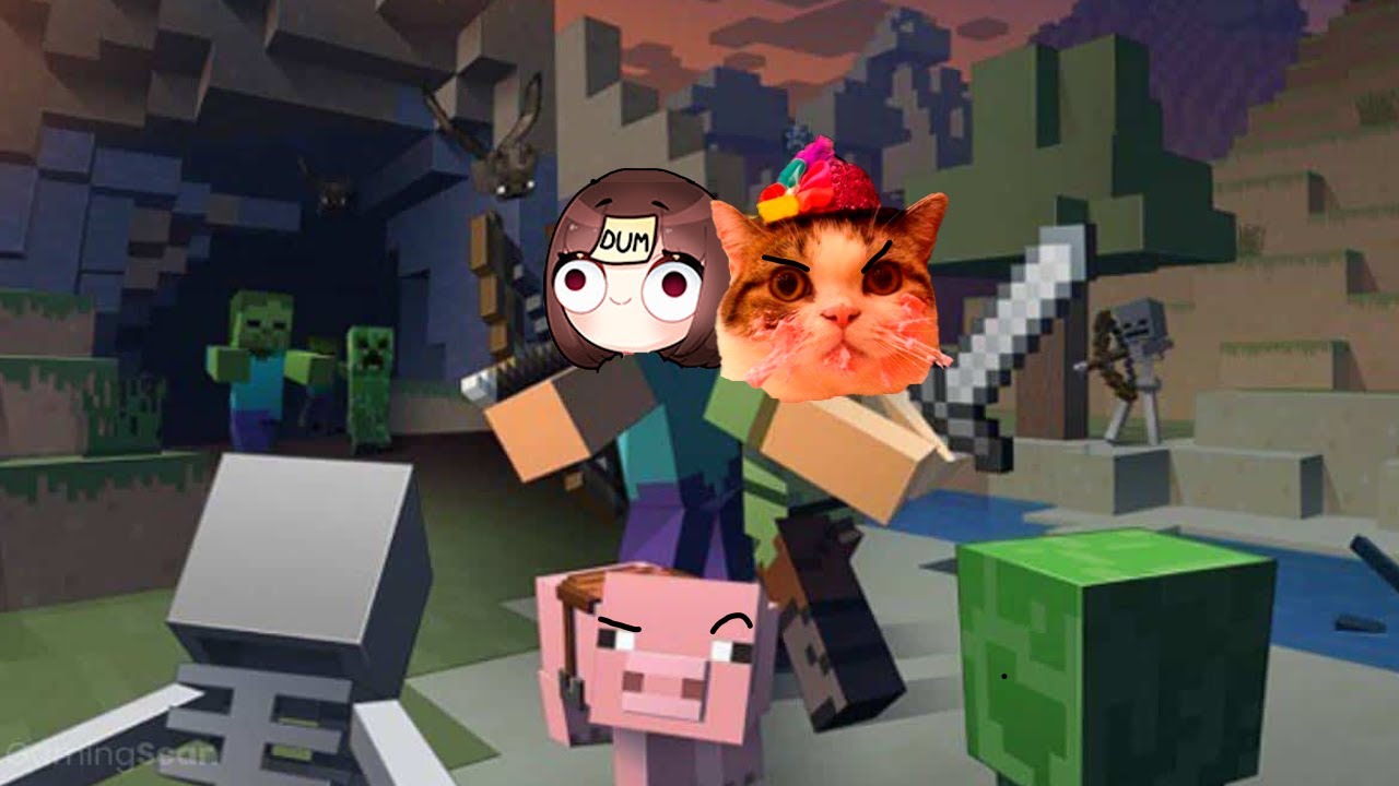 Ya casense 🥰 XD | NuggetSMP