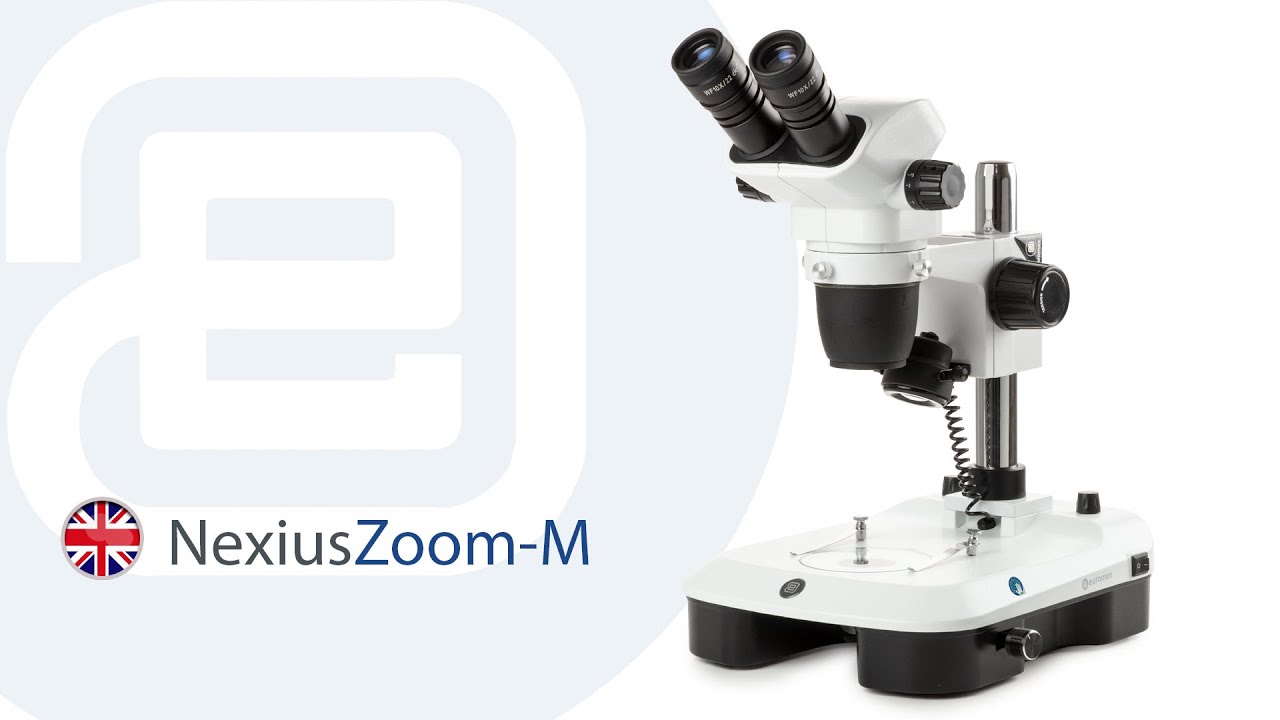 Euromex NexiusZoom M EN