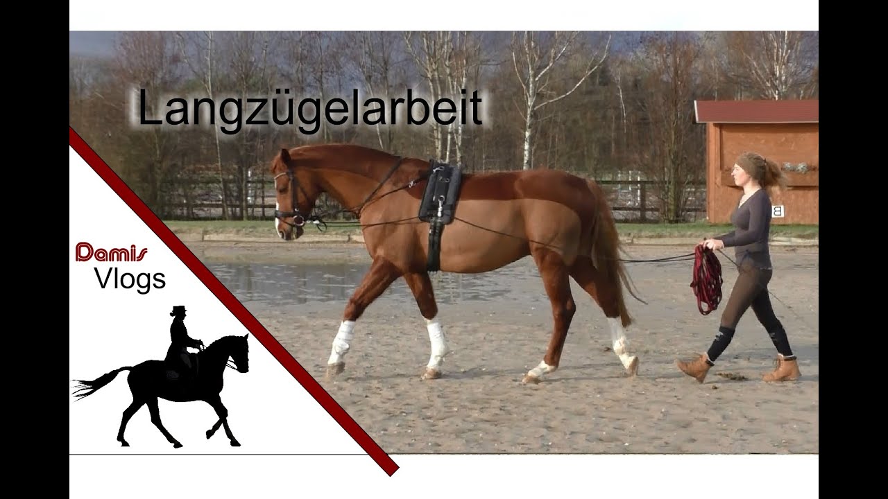 Arbeit am Langzügel - Januar 2015 + Outtakes | DamisVlogs