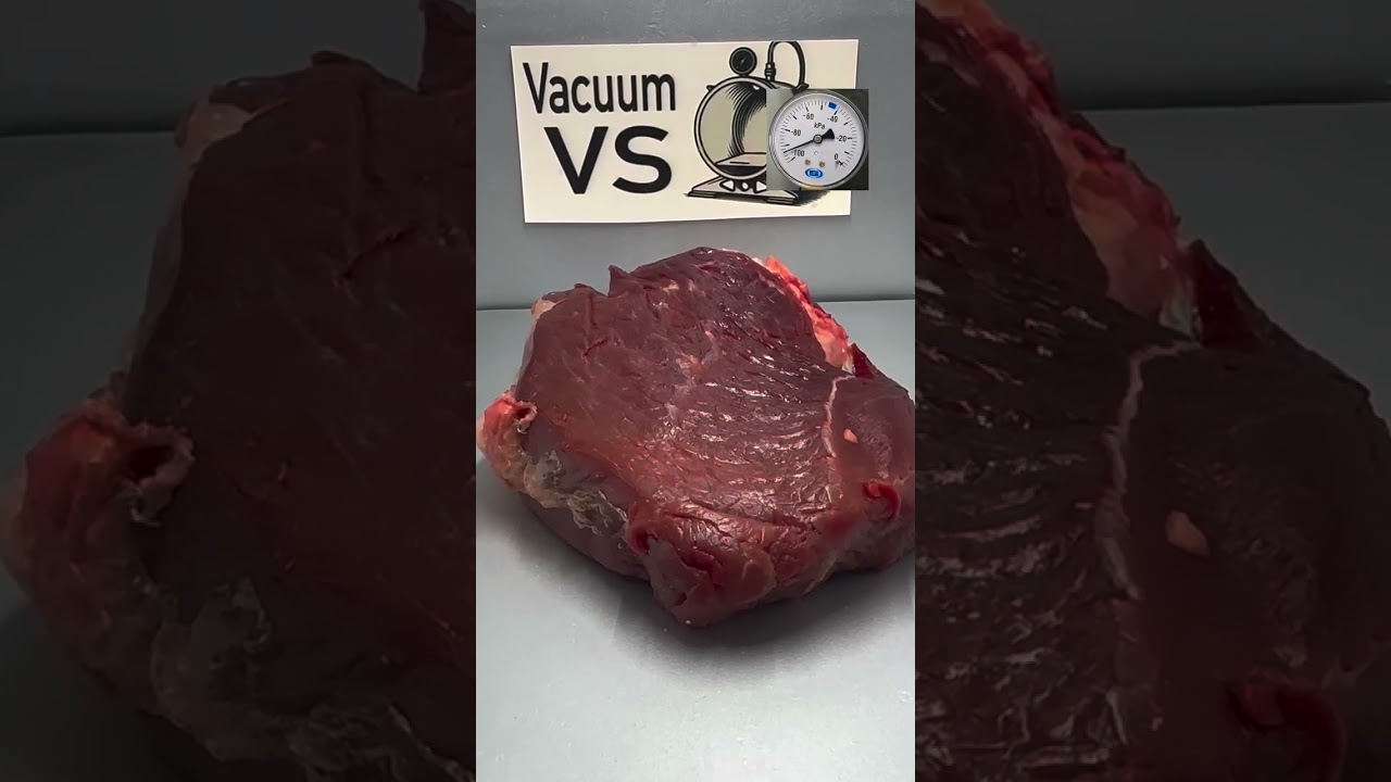 Vacuum vs Beef 🥩😱