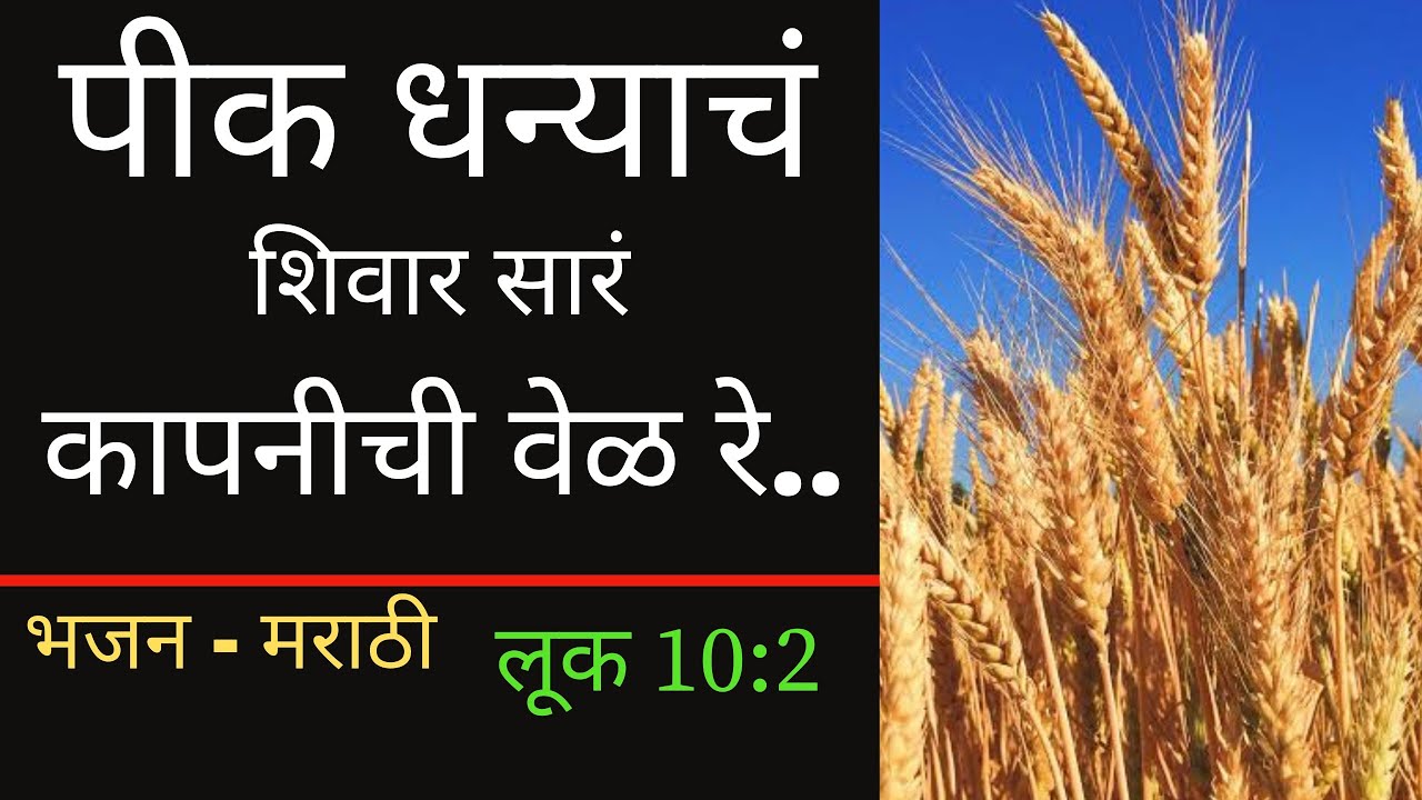 पीक धन्याचं शिवार Luke 10:2 pik dhnyaach || Marathi Christian bhajan | Marathi worship | Jesus song