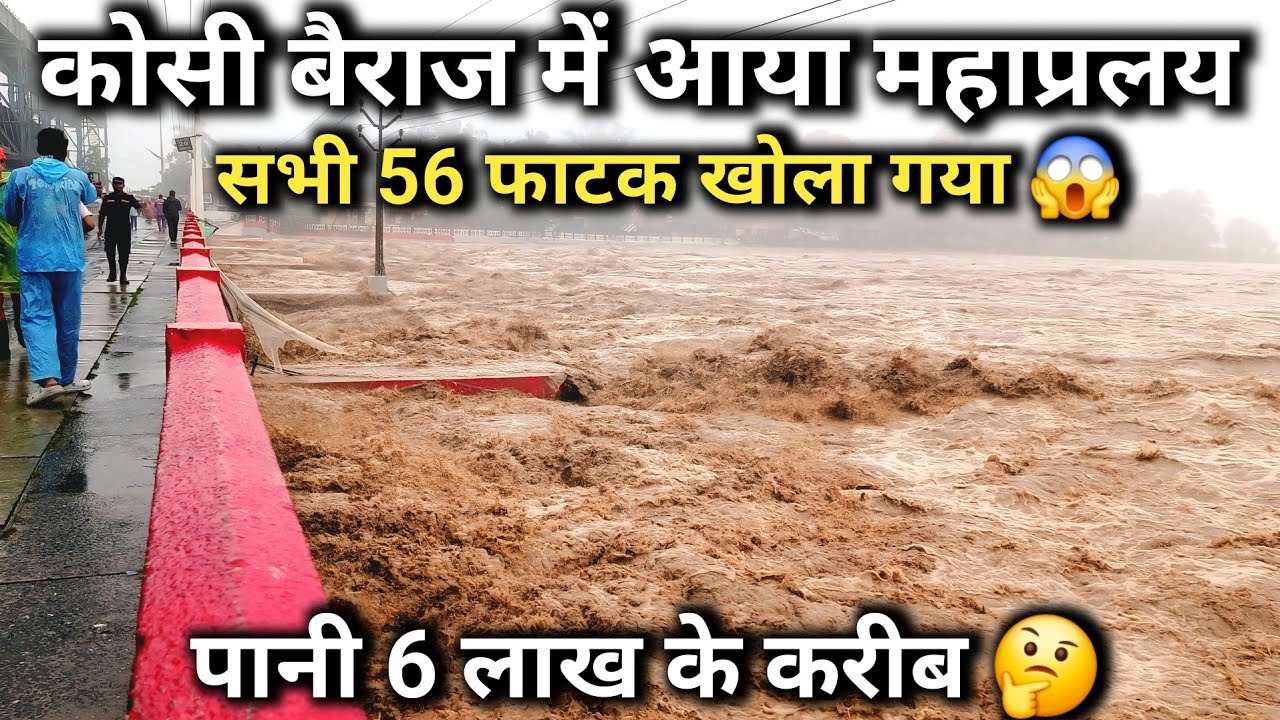 Koshi barrage का 56 फाटक खोल दिया , पानी खतरे के निशान के ऊपर | kosi barrage news today |