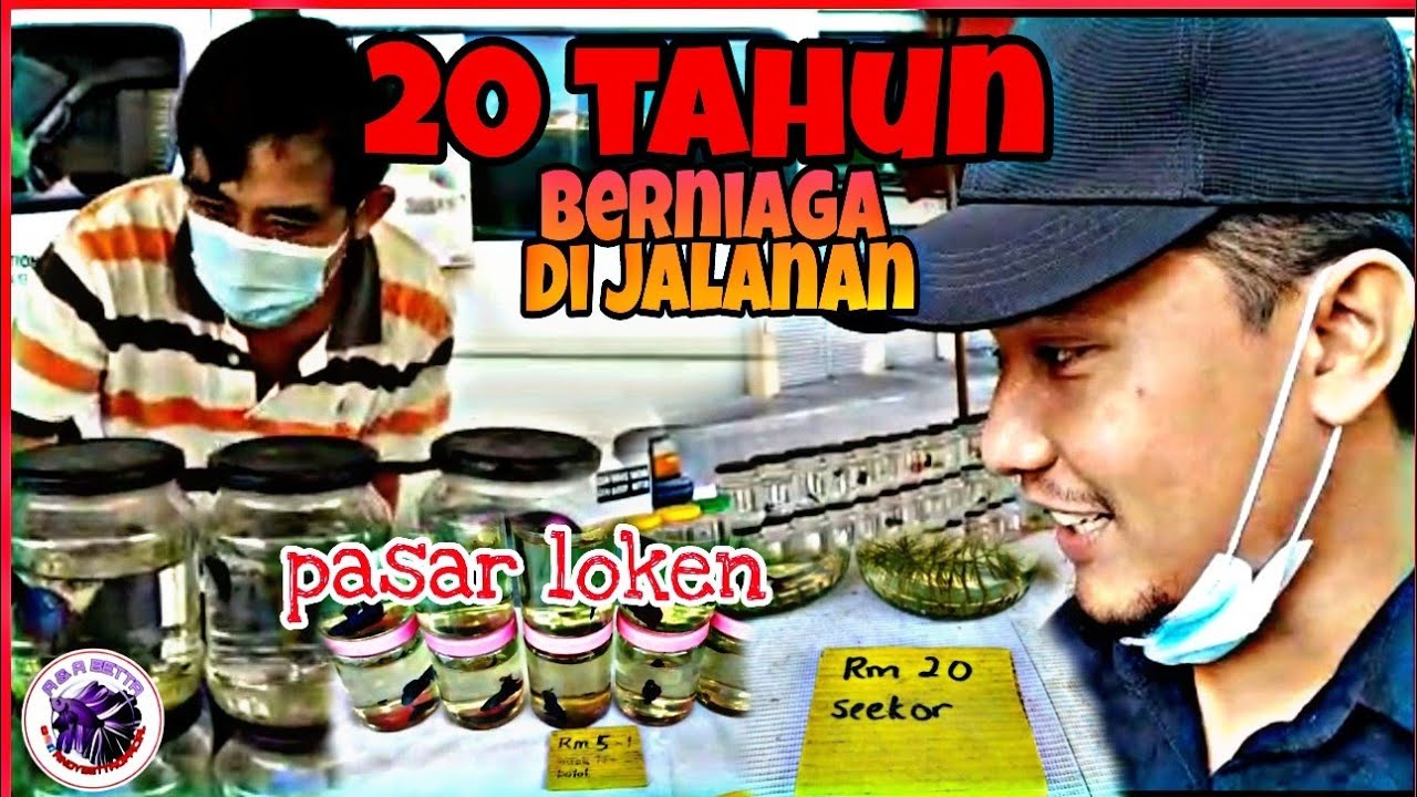 TERJAH TEMPAT BERNIAGA BETTA KING DI IPOH PERAK//HARGA DAN SAMBUTAN LUAR BIASA‼️