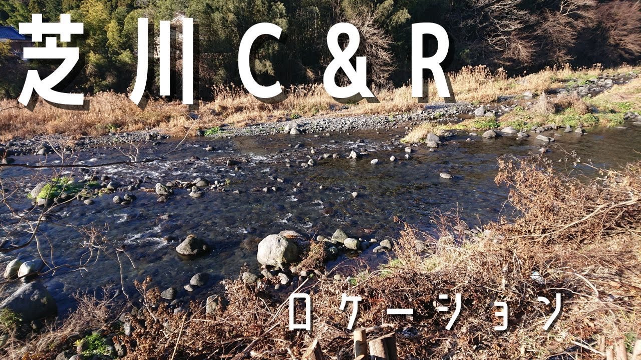 【冬季釣り場】芝川特別区C＆R区間　ポイント紹介【渓流ベイト】