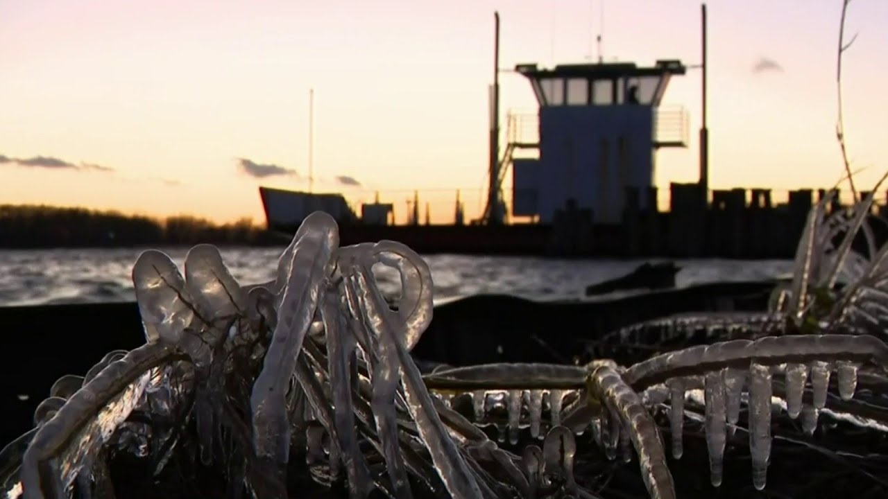 Vehicle traffic halted after Harsens Island ferry dock collapses