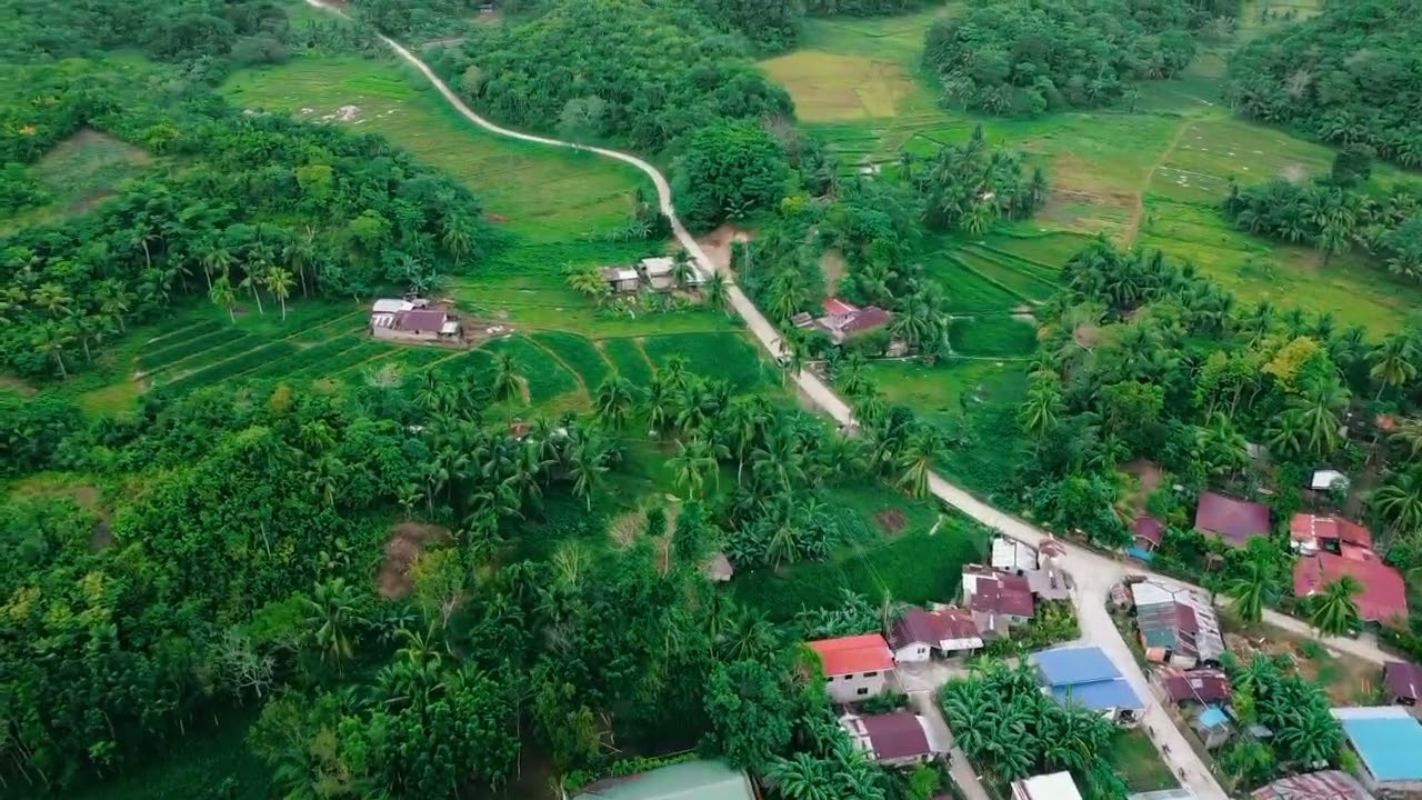 📍BRGY. SAN PEDRO PALOMPON LEYTE.