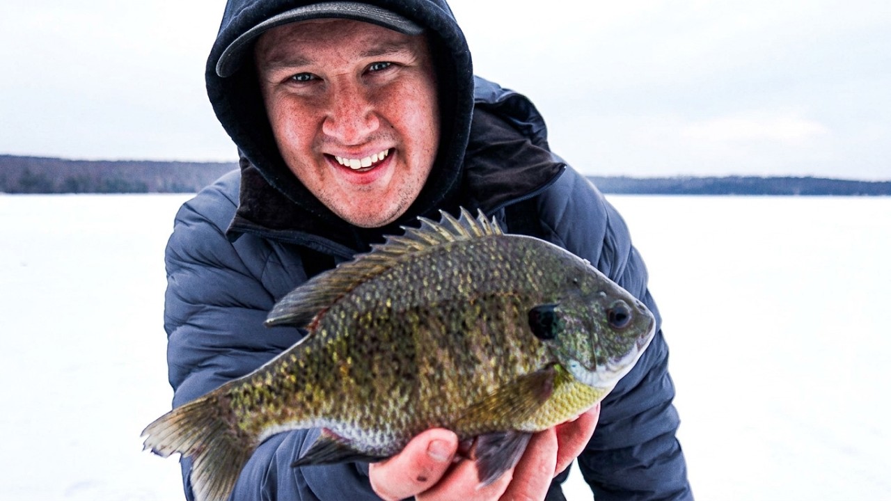 Ice Fishing Midwinter Panfish in Northern Wisconsin!