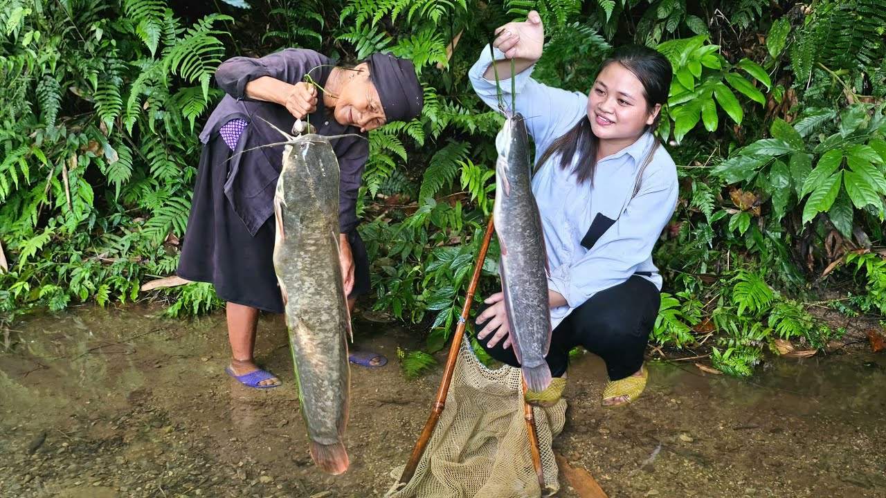 Full Video | Old Lady and Homeless Girl Caught a Giant Fish and Something Terrible Happened to Them