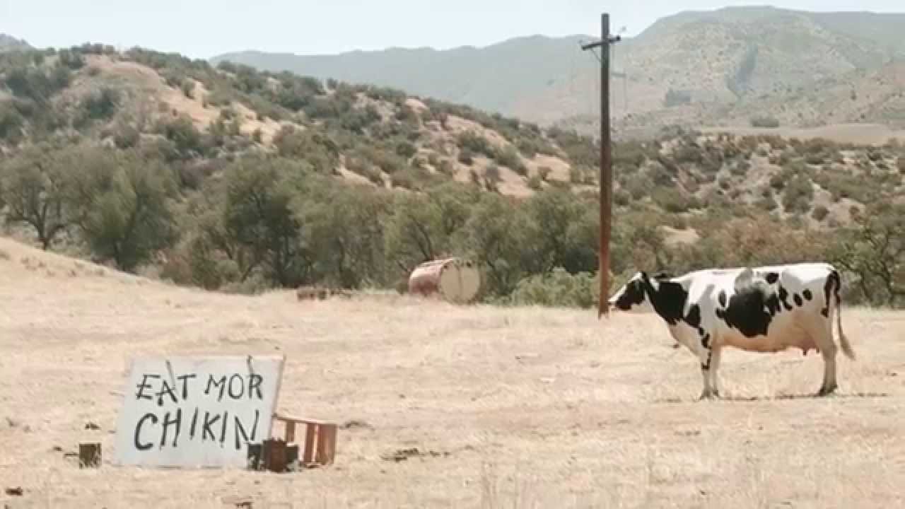 Meet the Cows Behind the “Eat Mor Chikin” Campaign