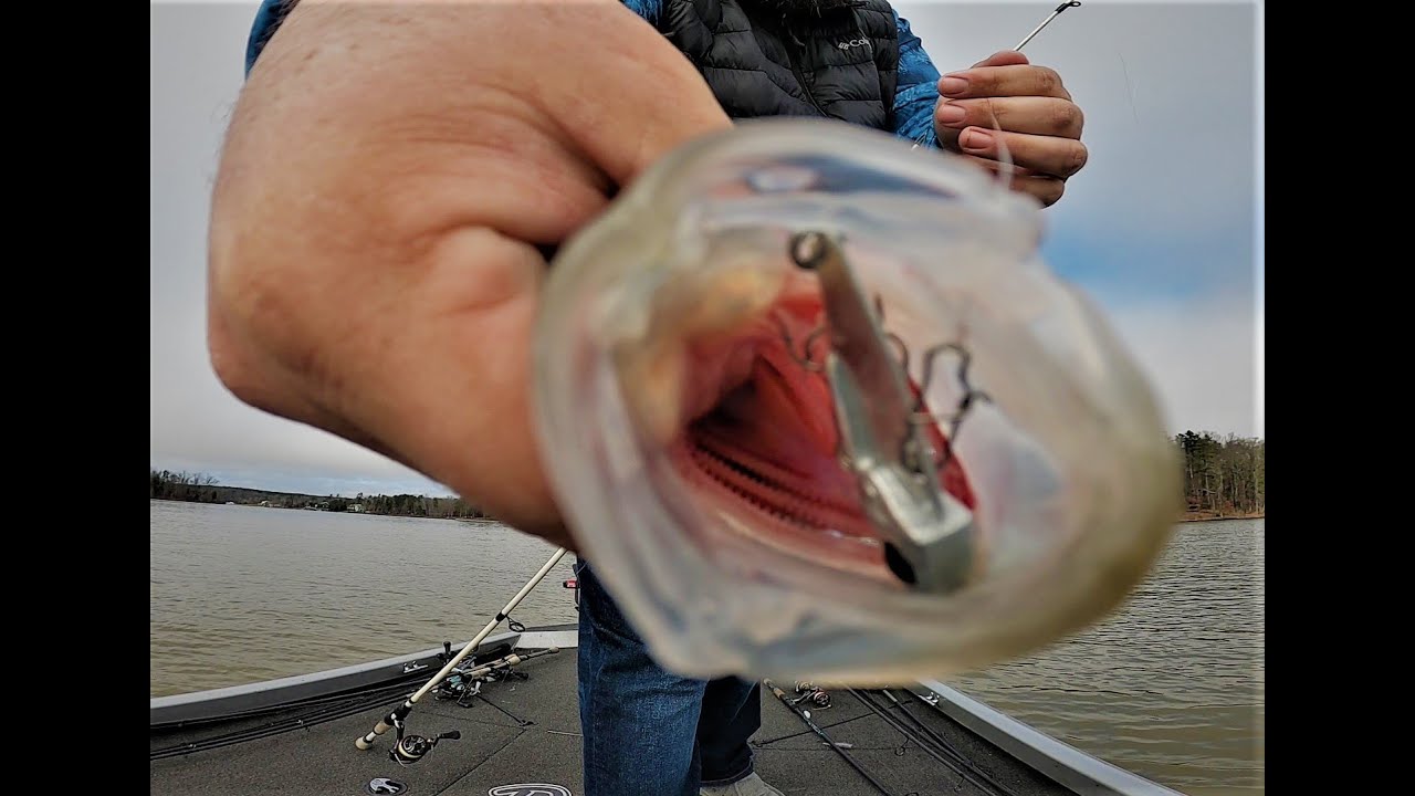 Quantity over Quality Day: Hyco Lake Bass Fishing