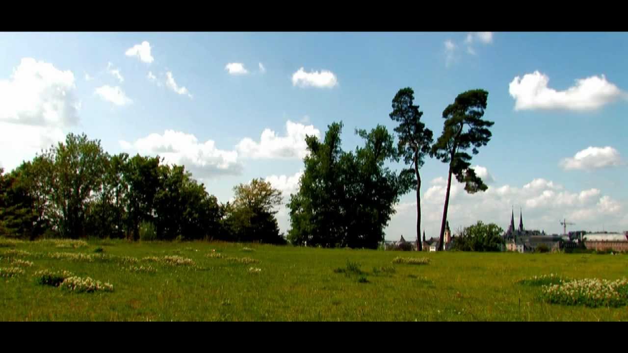 amazing frisbee shots - a flying disc journey