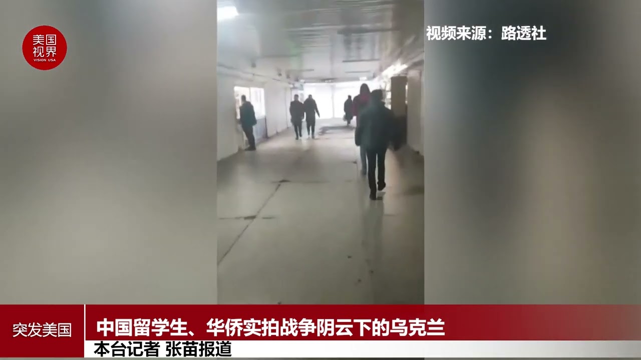 中国留学生、华侨实拍战争阴云下的乌克兰