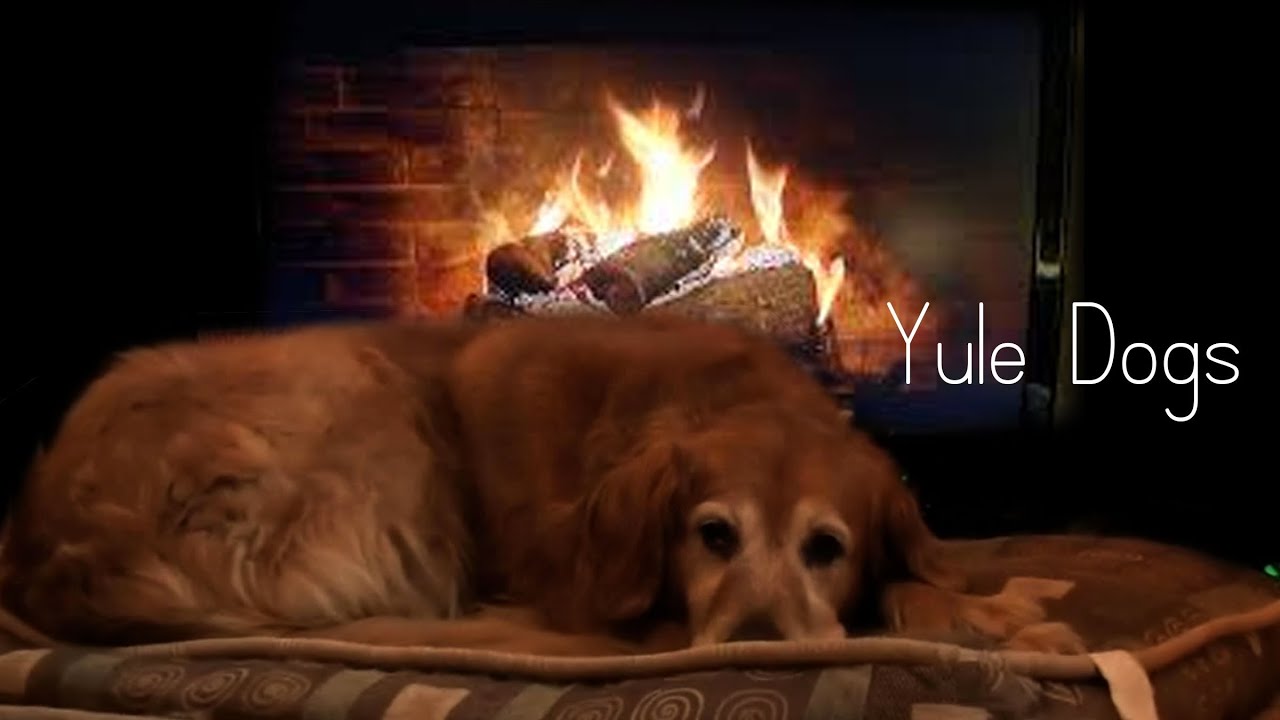 Yule Dogs
