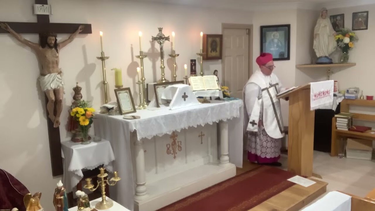 The Schismatic, Dishonest and Hypocritical position of the Society of Pius X on the Papacy.