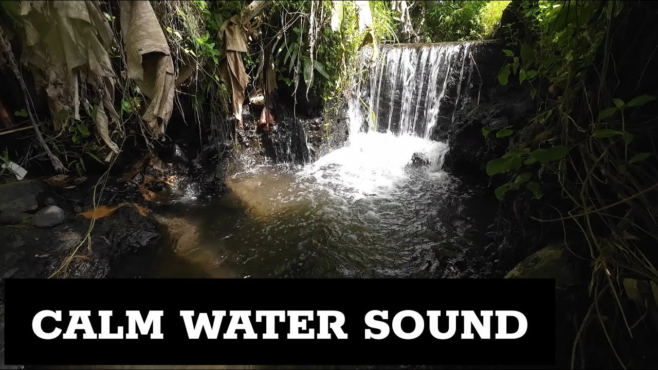 Calm Flowing Water Sounds 🌊 1.3 Hours of Steady Stream Ambience | No Music