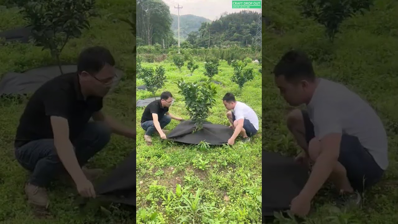 🌱🌿 Weed Control Mat to Stop Weeds Around Trees