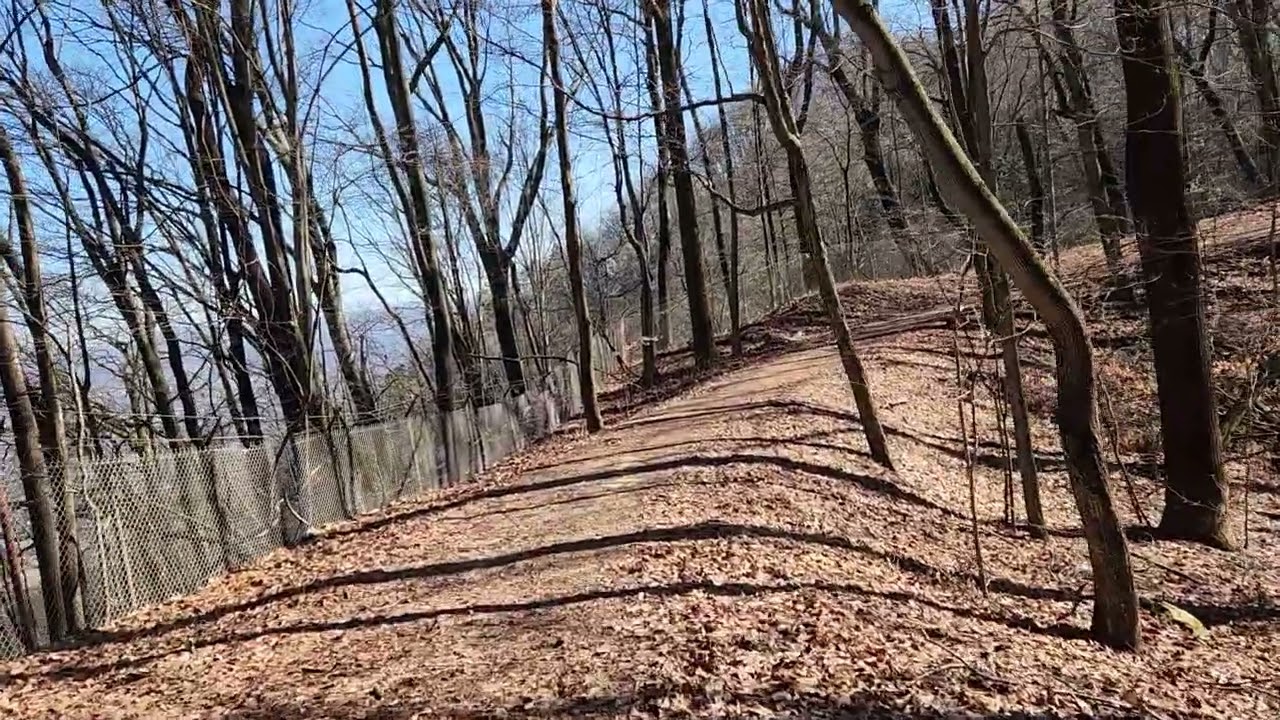 Bays Mountain Ridgetop Hike 2-27-26