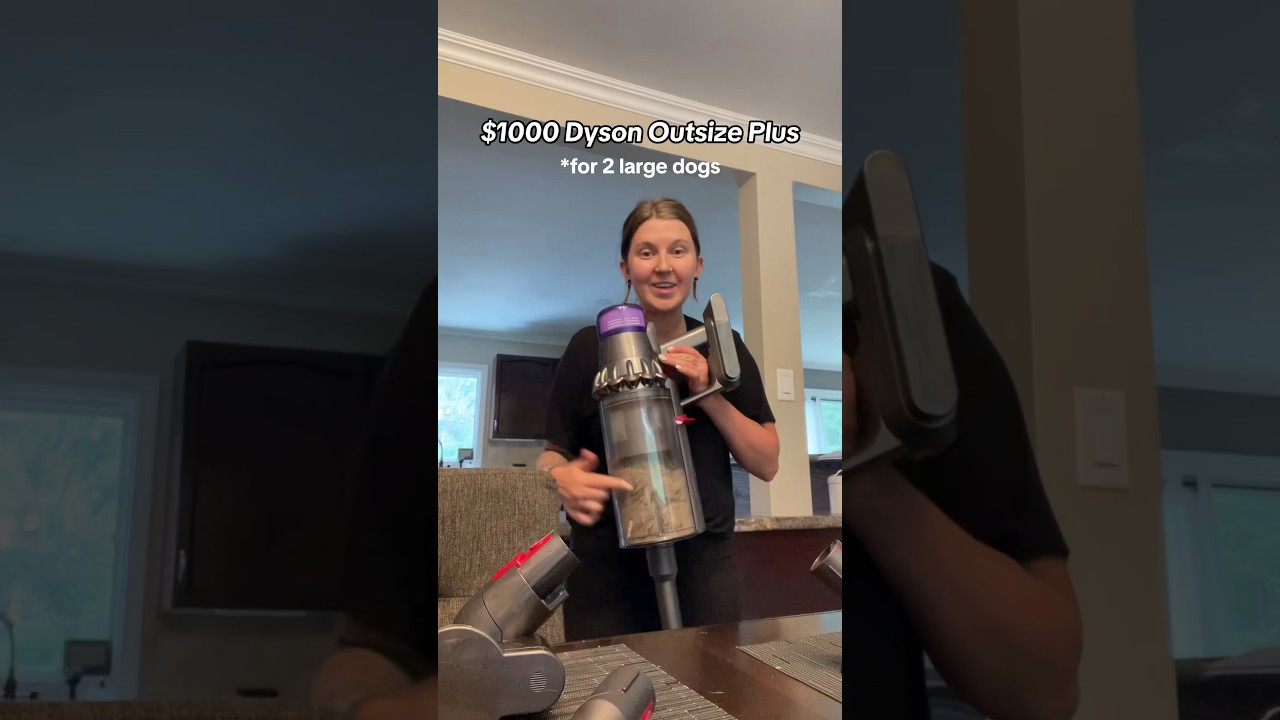 $1000 DYSON TEST (with 2 large dogs) 🐶