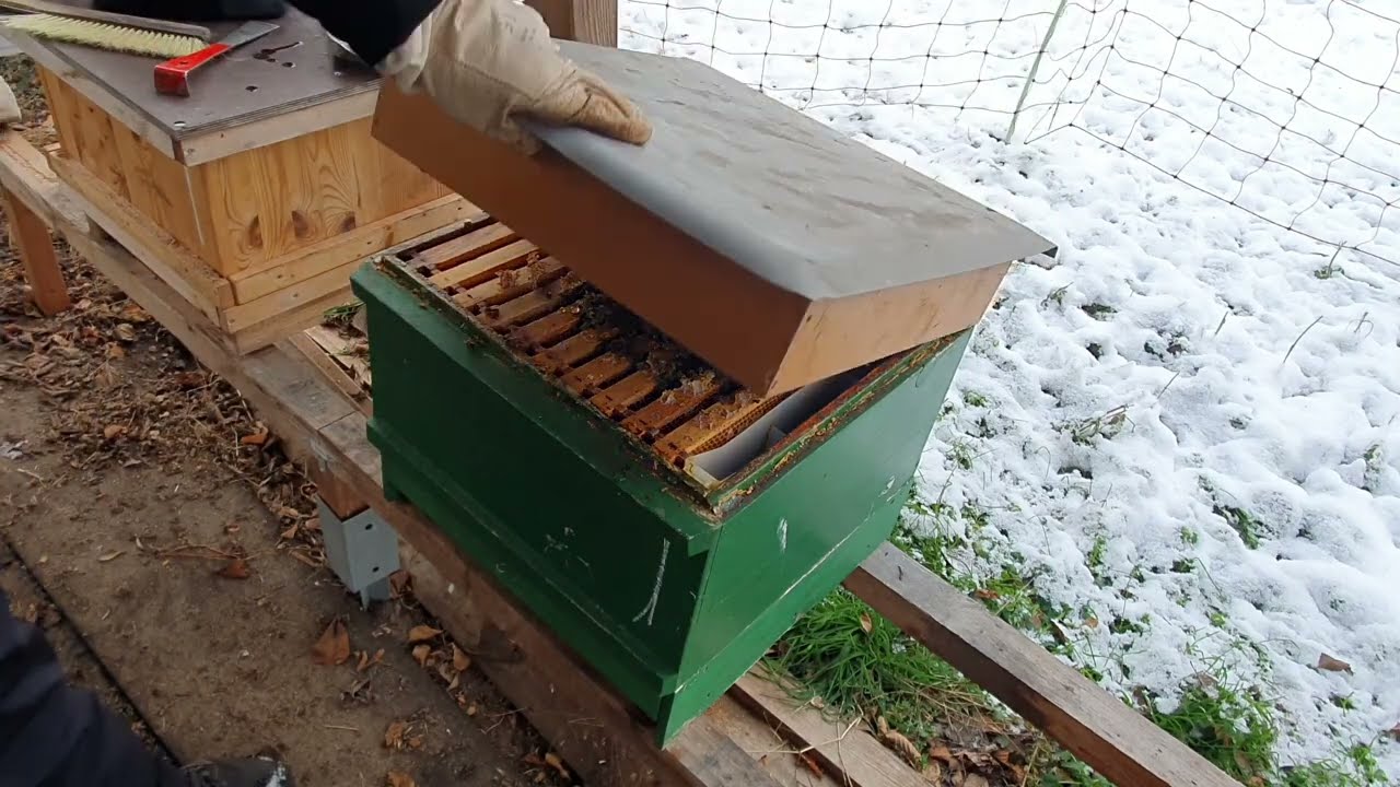 Oxalsäurebehnadlung zur Restentmilbung im Winter - jetzt geht´s an die Bienen
