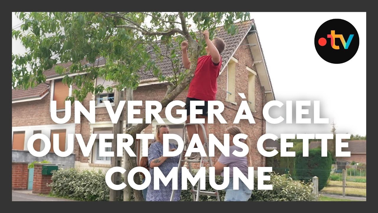 Cette commune ouvre sa cueillette en libre-service aux habitants