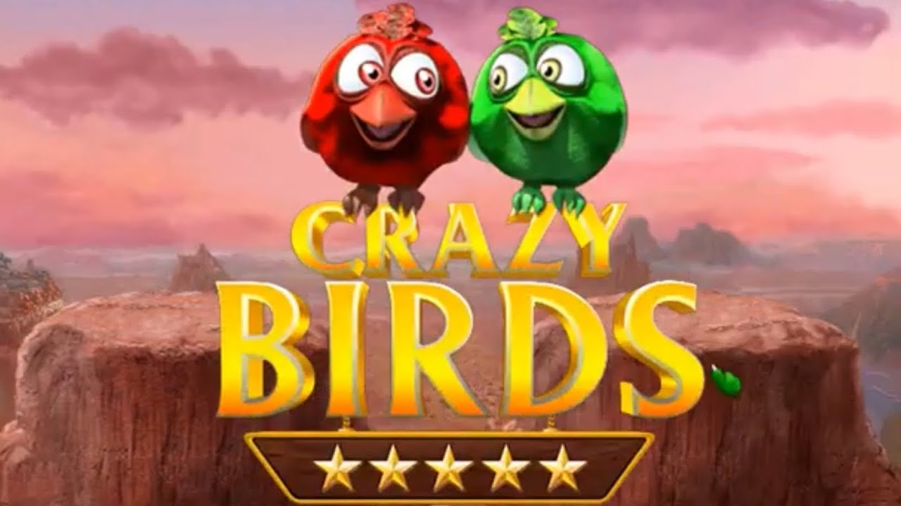 Crazy Birds Expert Stage 1