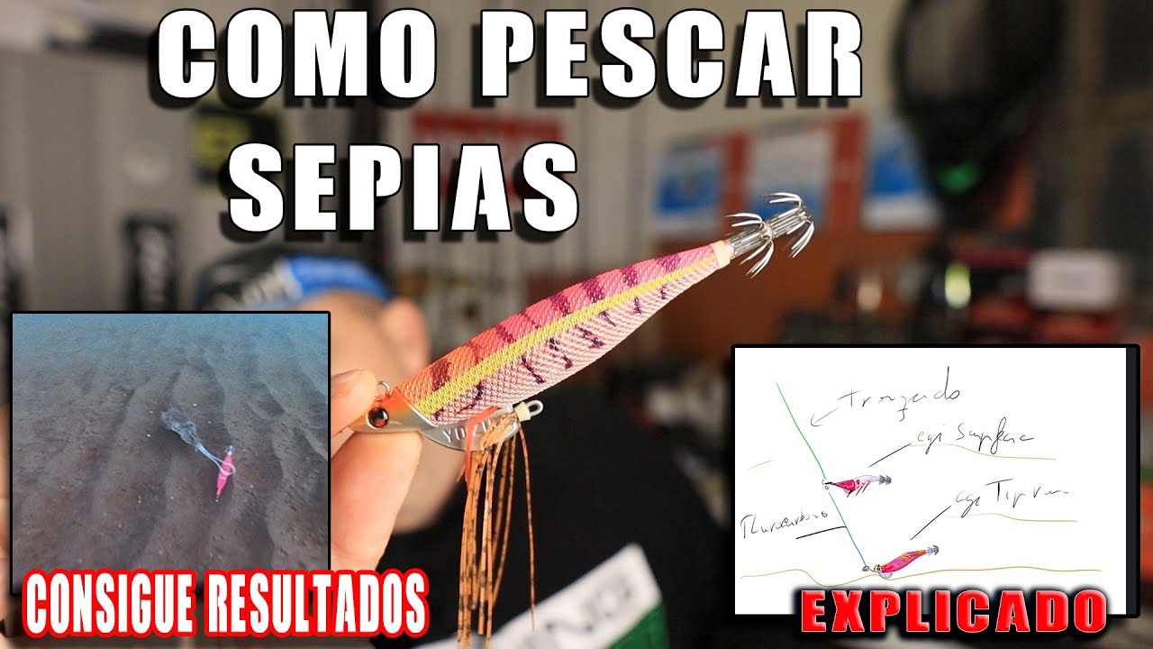 Como pescar sepias en embarcacion