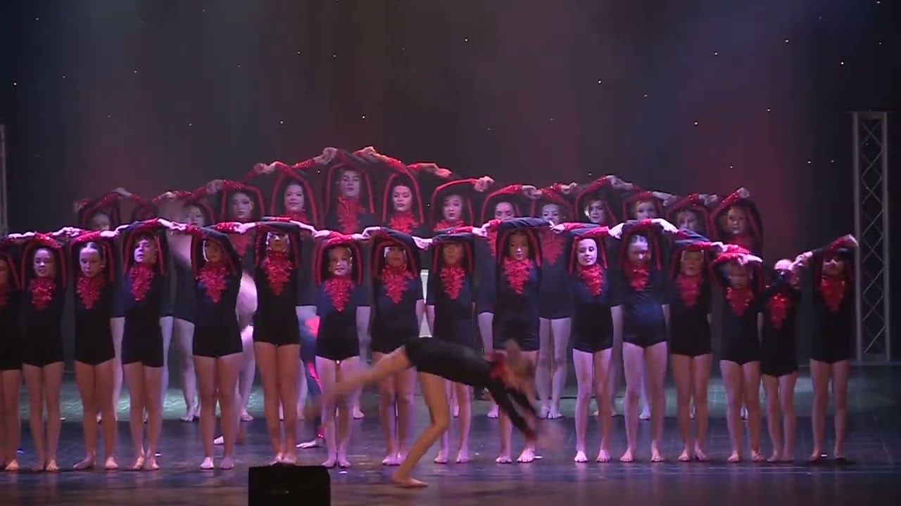 RDS ACRO TEAM