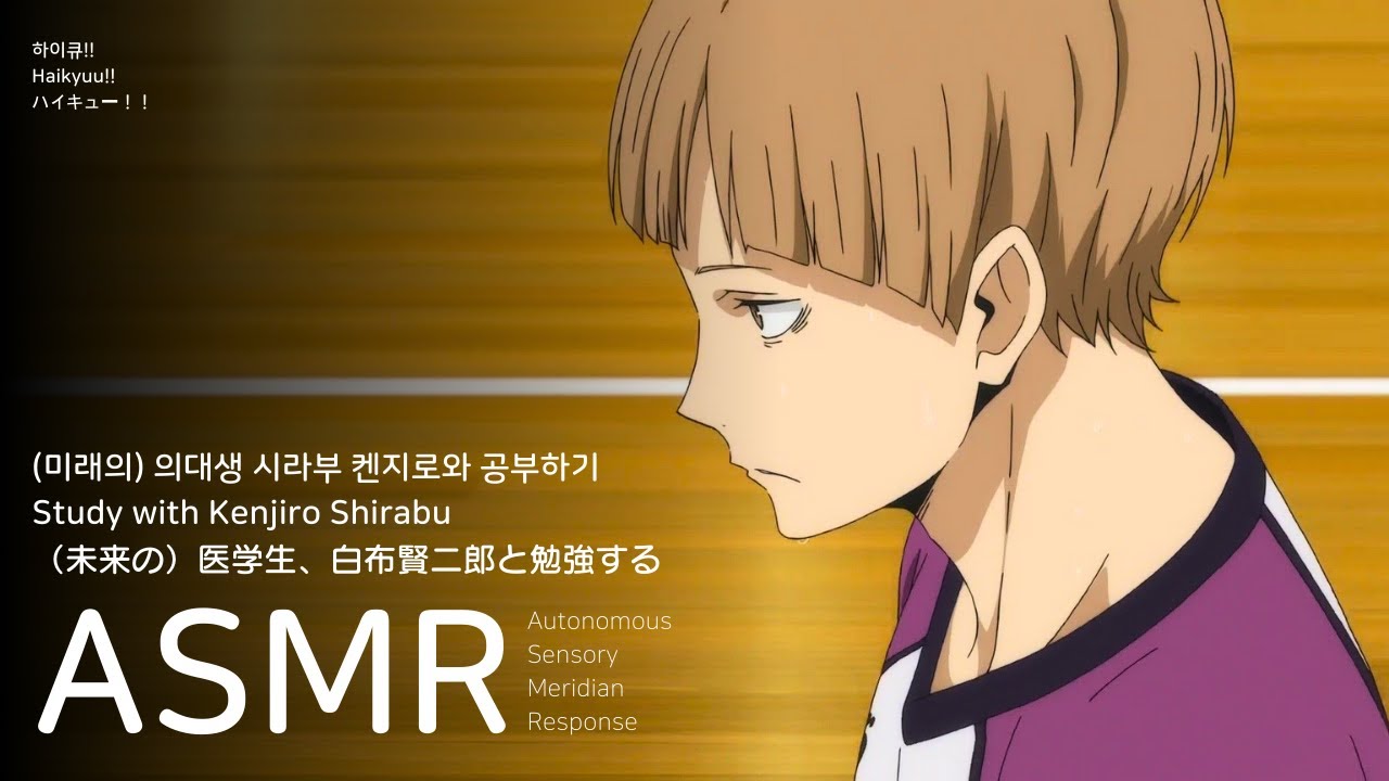 ASMR 하이큐!!: (미래의) 의대생 시라부 켄지로와 공부하기 | Haikyuu!! Shirabu Kenjirou Ambience