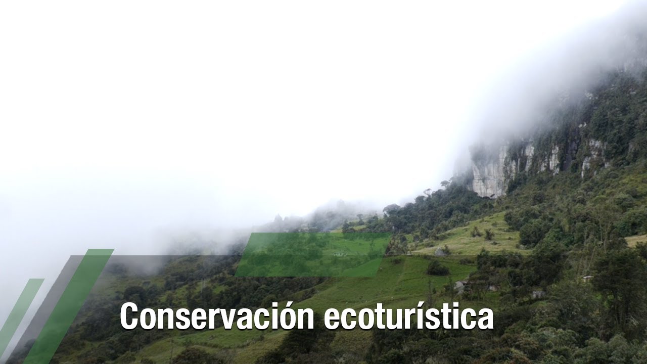 Conservación ecoturística - TvAgro por Juan Gonzalo Angel Restrepo
